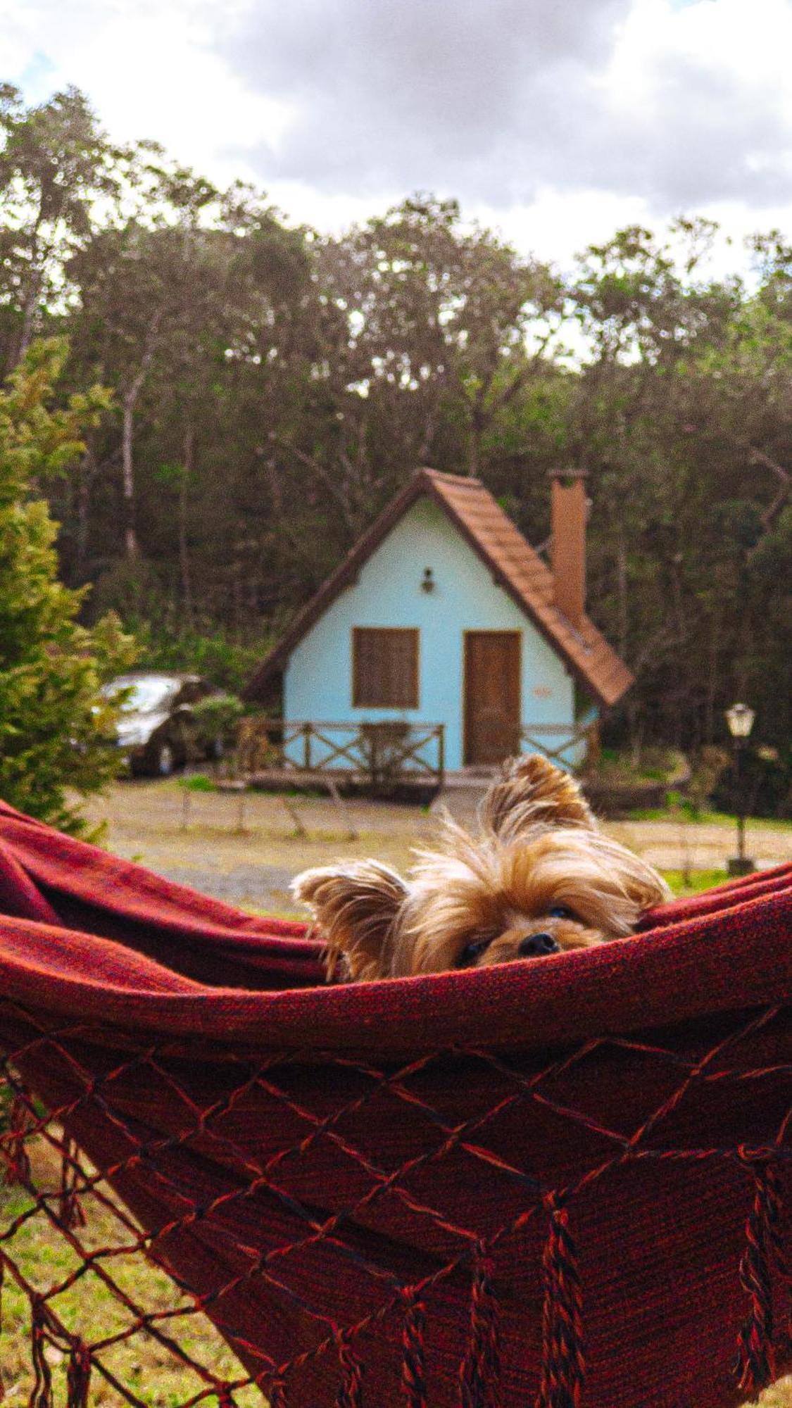 Pousada Vila Lubia - Chales Monte Verde Monte Verde  Exteriör bild